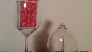 Road-worthy Wine Glasses Image