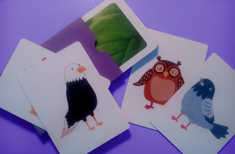 bird-cards.jpg